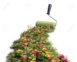 Impa Environment Image